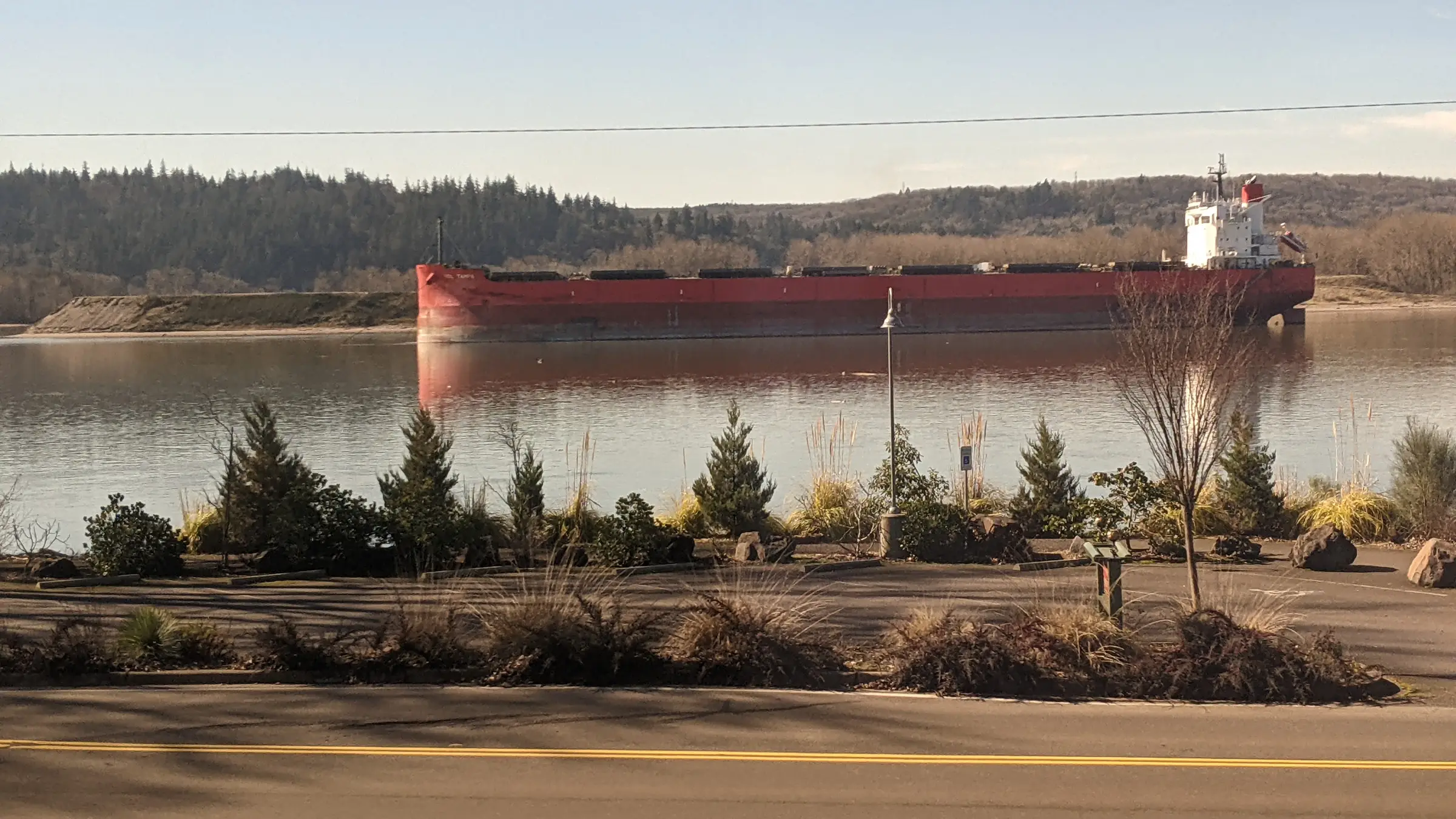 Dry bulk vessel chartering for international ocean freight