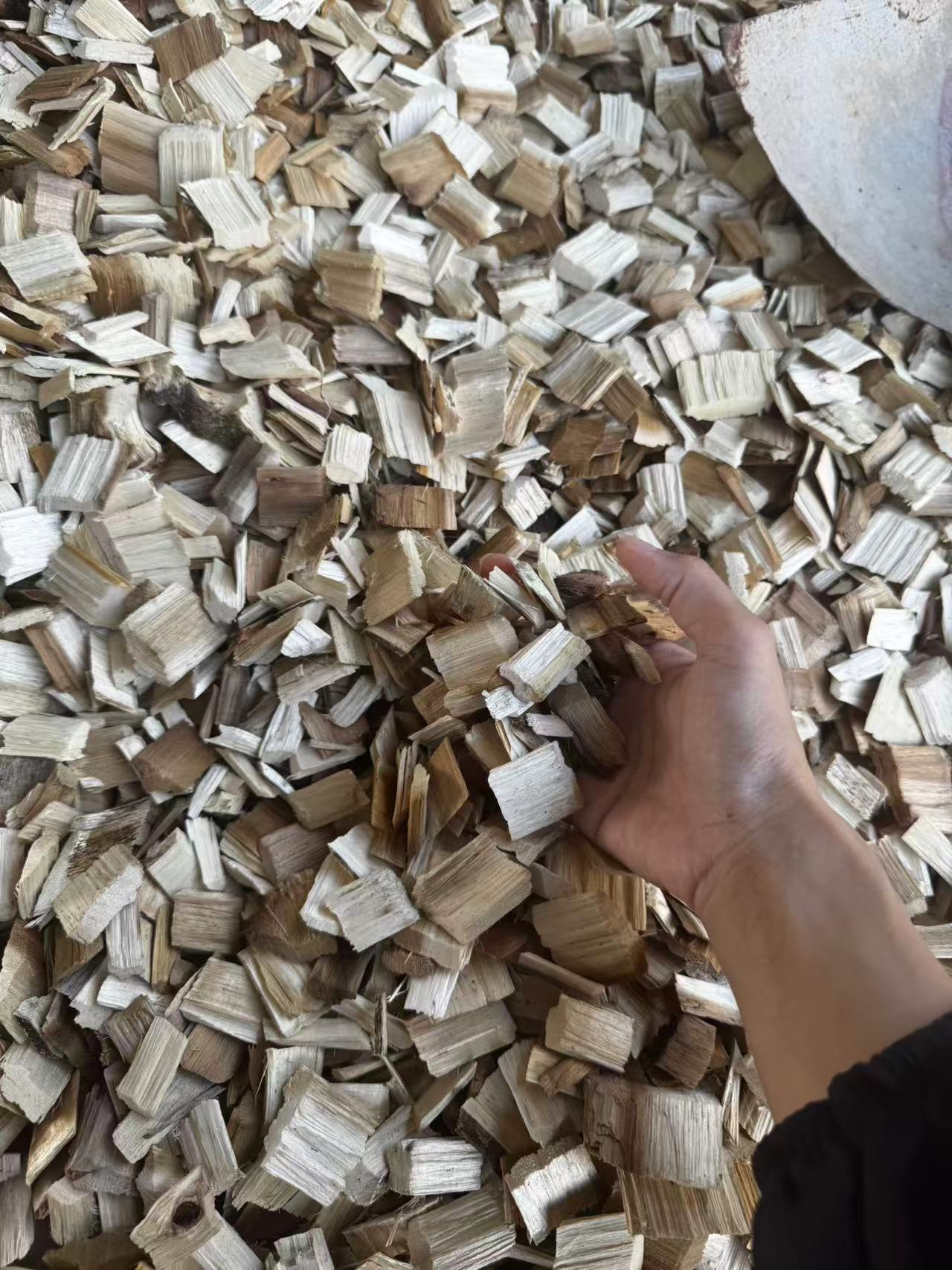 Timber shipping