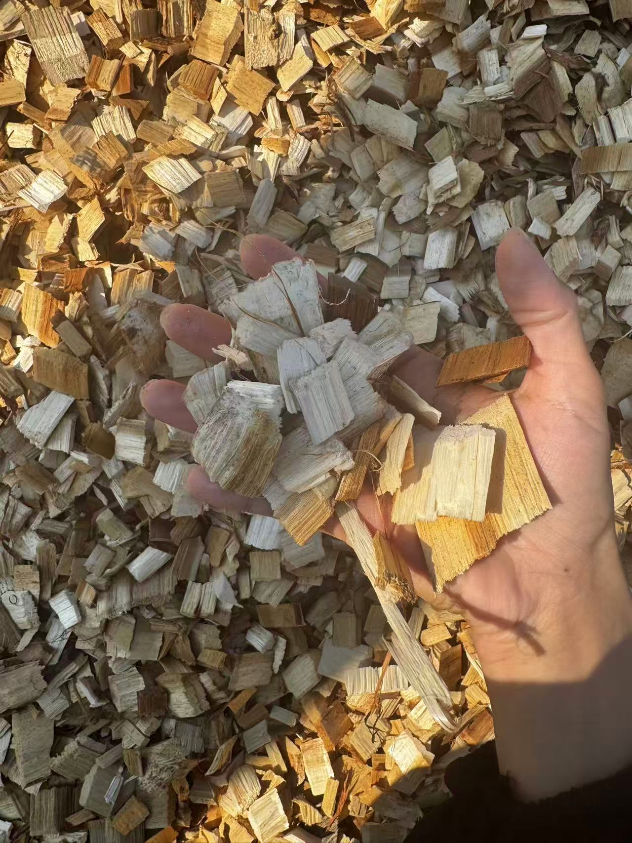 Timber logistical hub